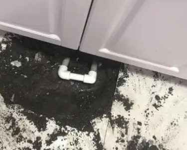 塔城地查漏水哪家好